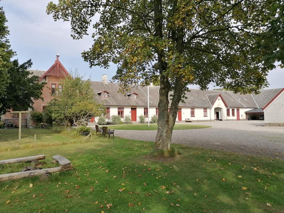 Edelsminde Bed & Breakfast Haslev Zewnętrze zdjęcie
