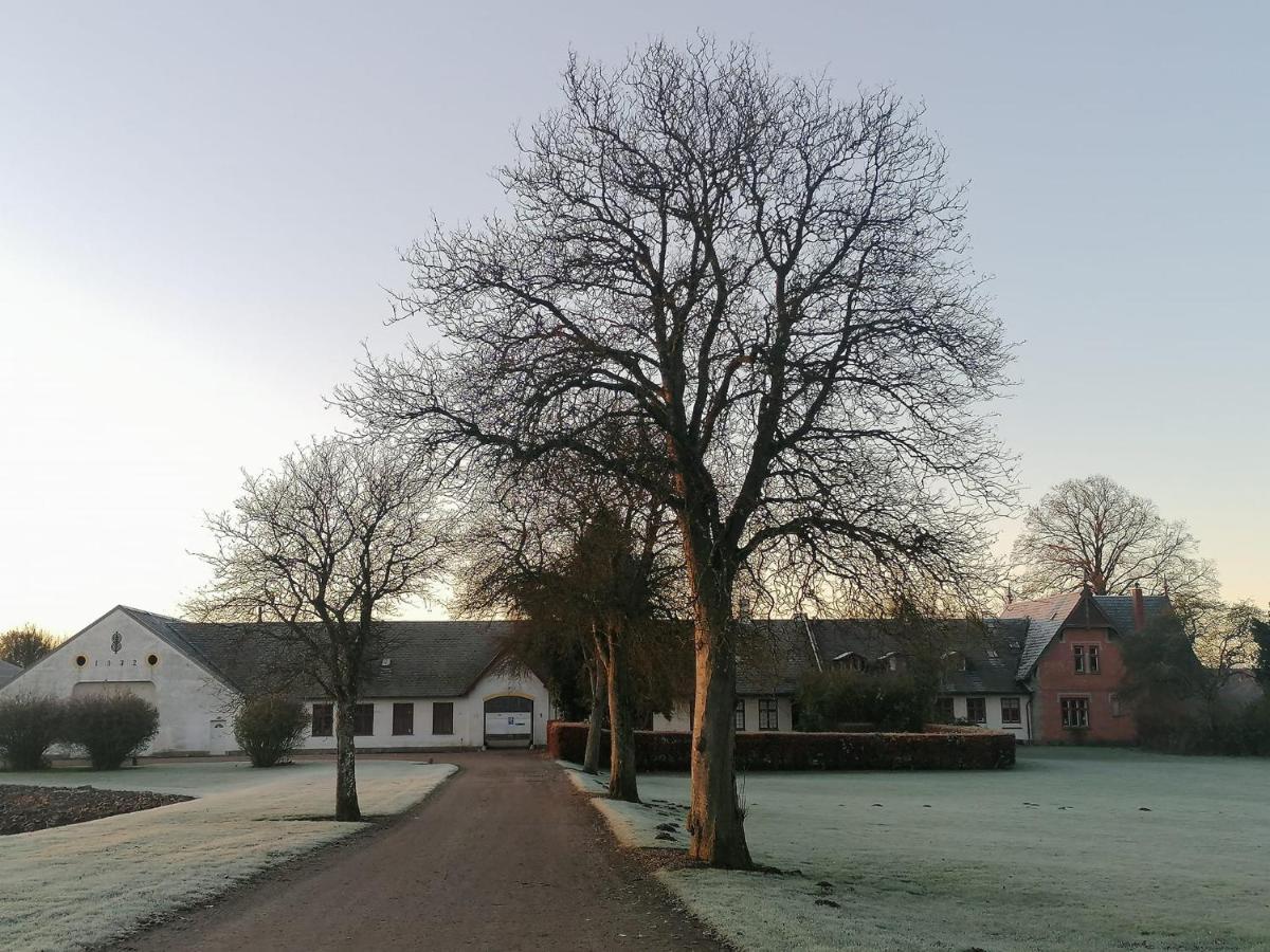Edelsminde Bed & Breakfast Haslev Zewnętrze zdjęcie