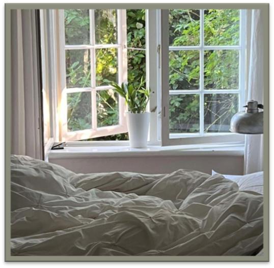 Edelsminde Bed & Breakfast Haslev Zewnętrze zdjęcie